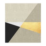 Geometric Plans II (Print Only) thumbnail