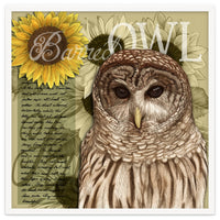 Sunflowers and Barred Owl