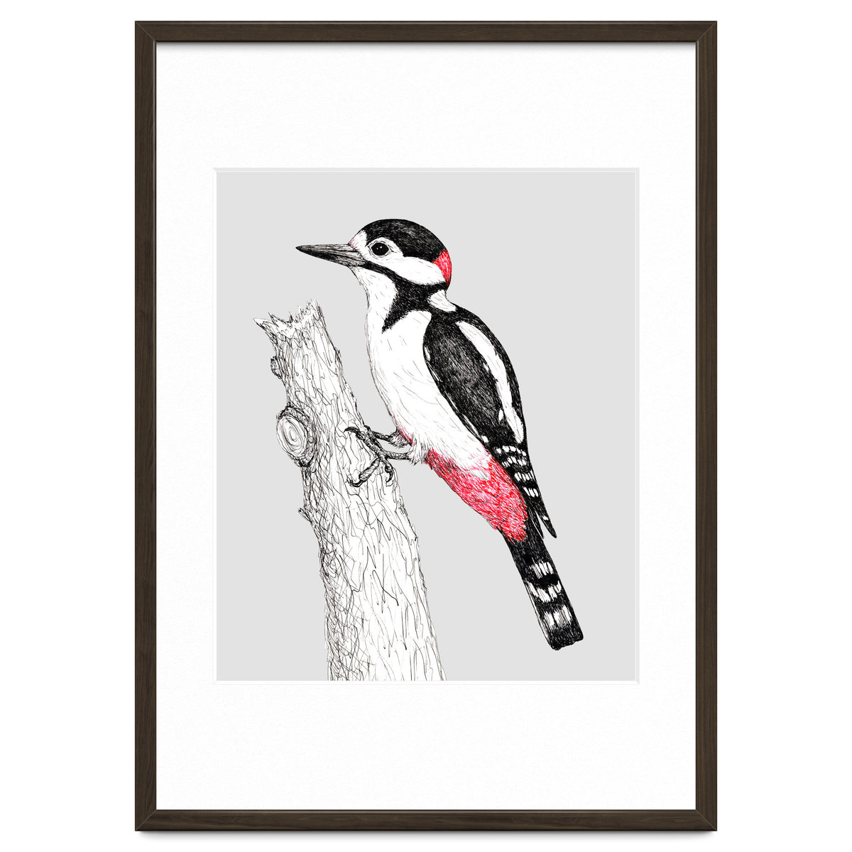 Great spotted woodpecker