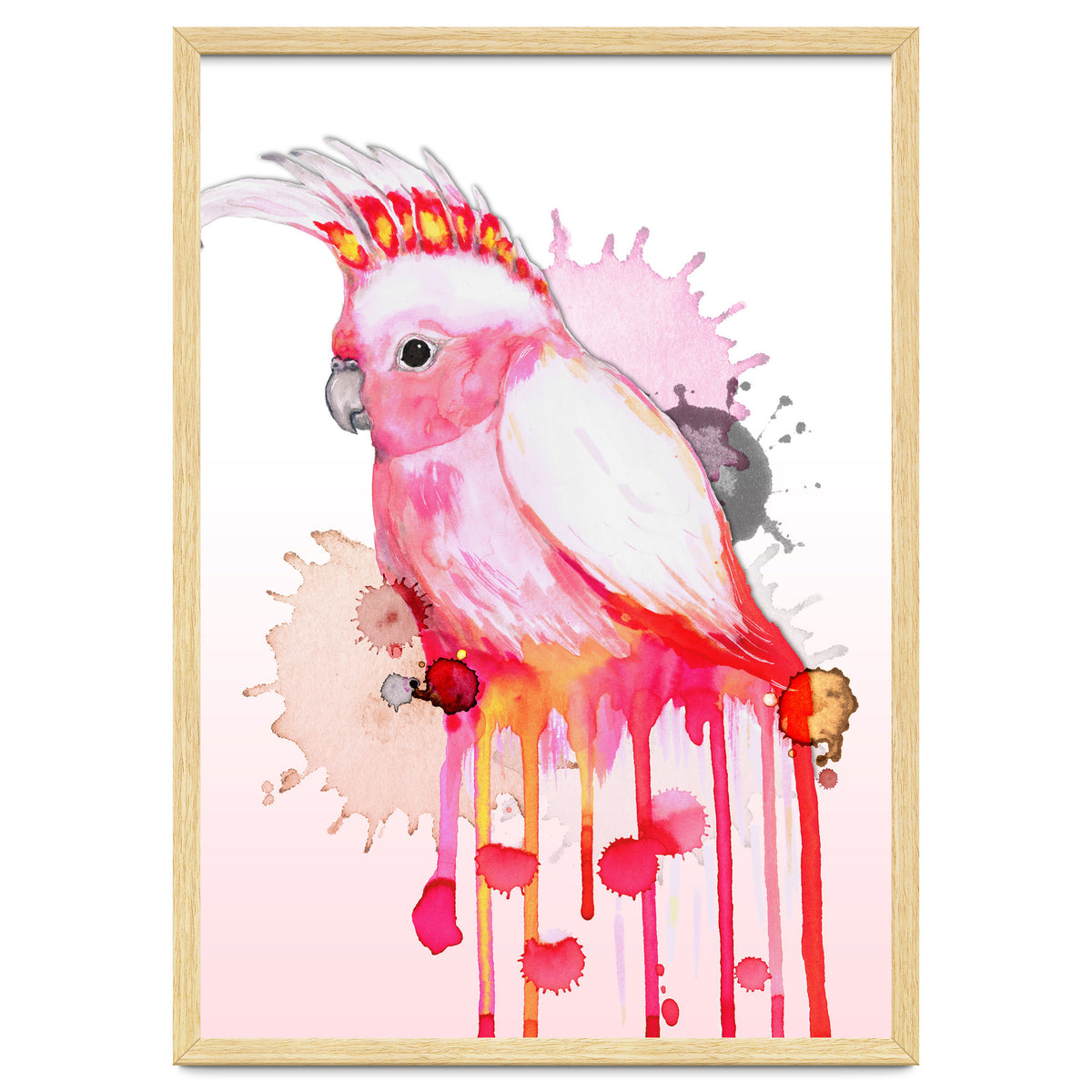 Major Mitchell's cockatoo