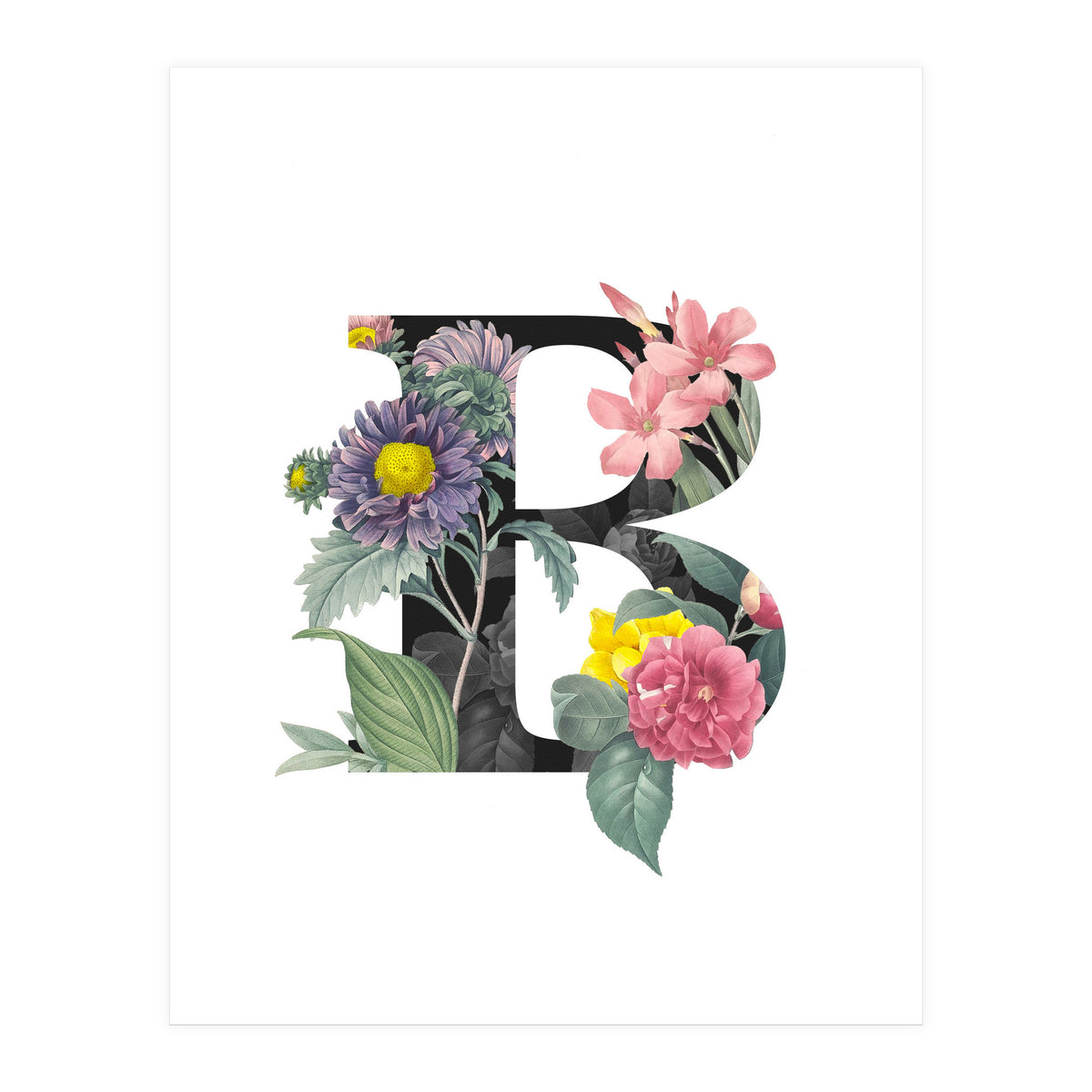 Letter B (Print Only)
