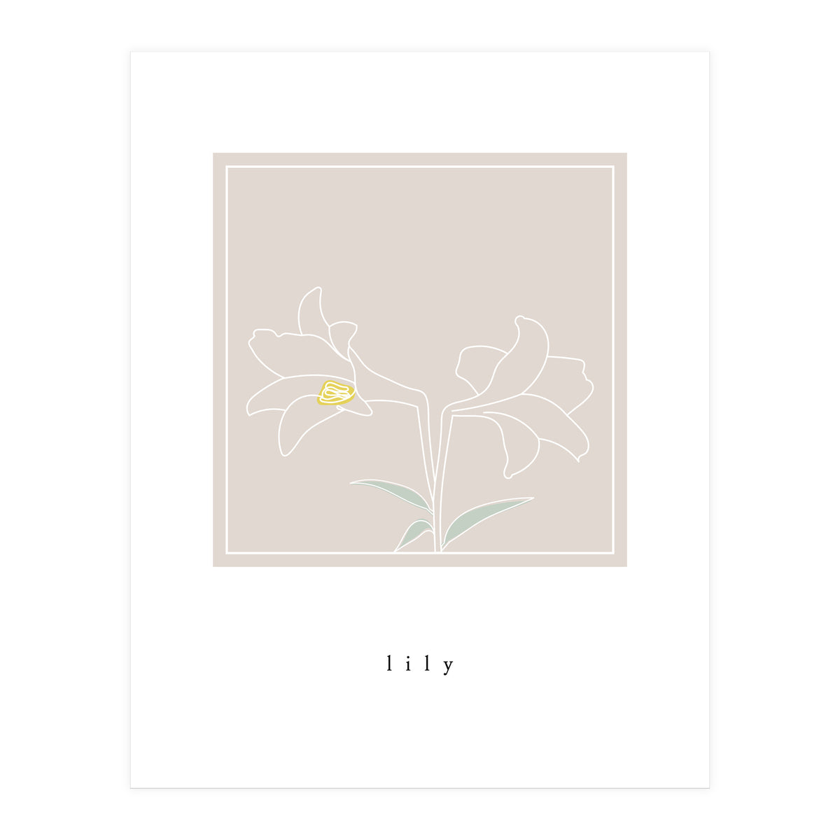 lily flower (Print Only)