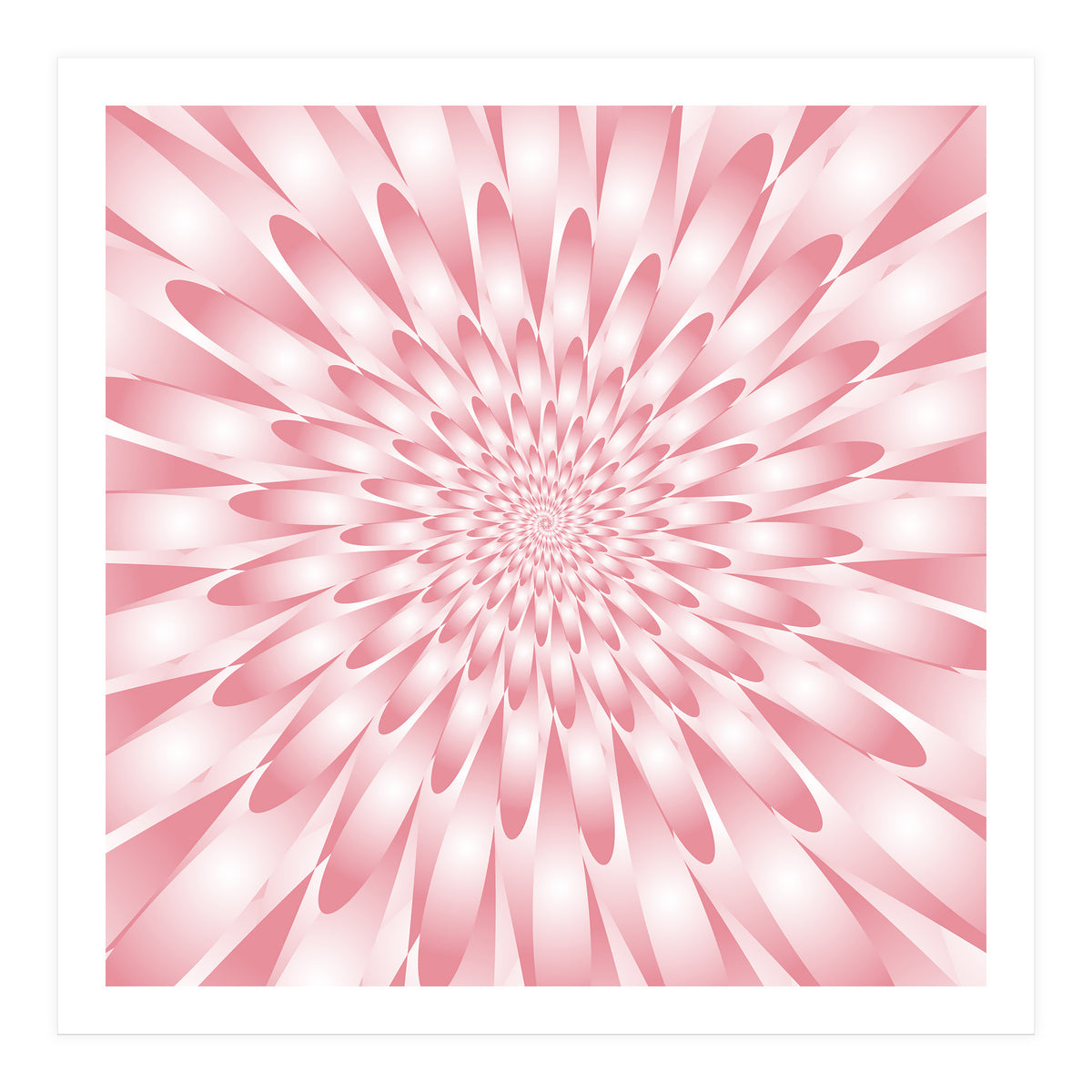 Spiral Pink Flower  (Print Only)
