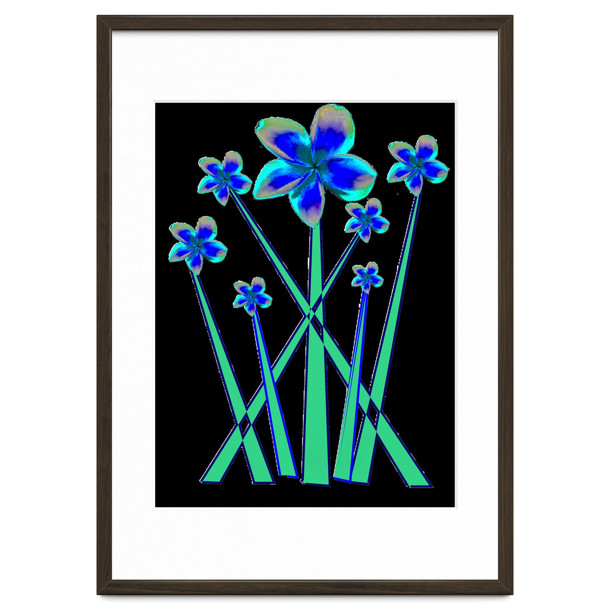 Blue flowers on black.