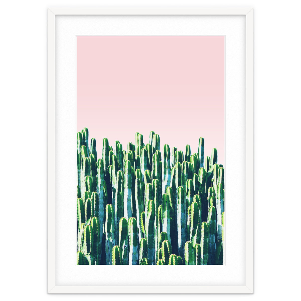 Cactus & Sunset I