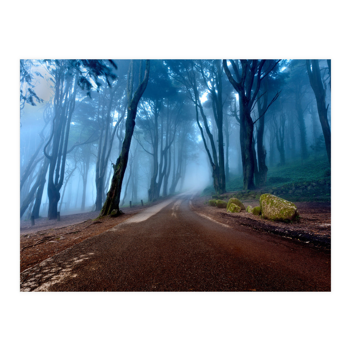 The Road Of Kings (Print Only)