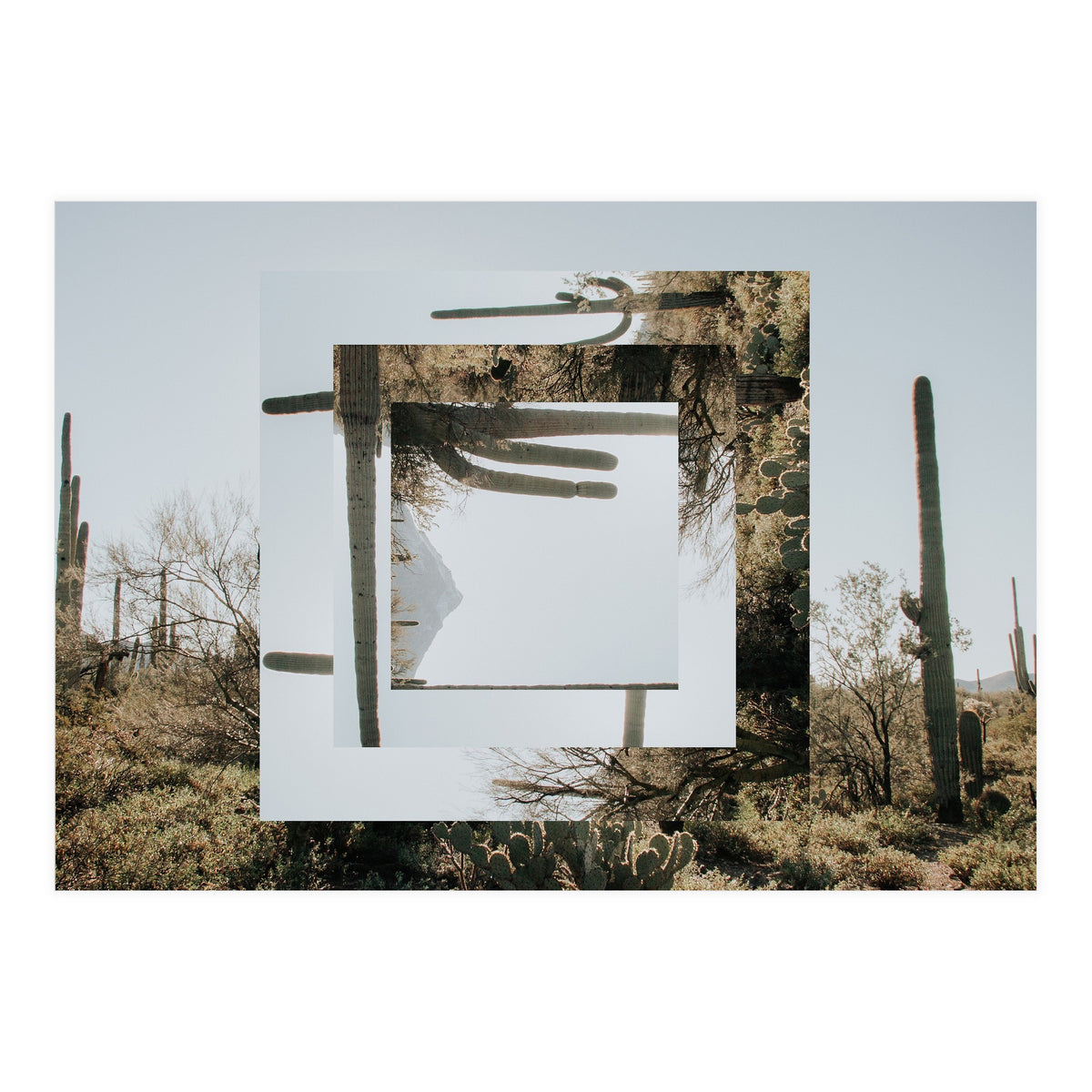 Quadratur 5 (Print Only)