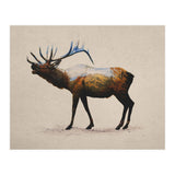 The Rocky Mountain Elk (Print Only) thumbnail