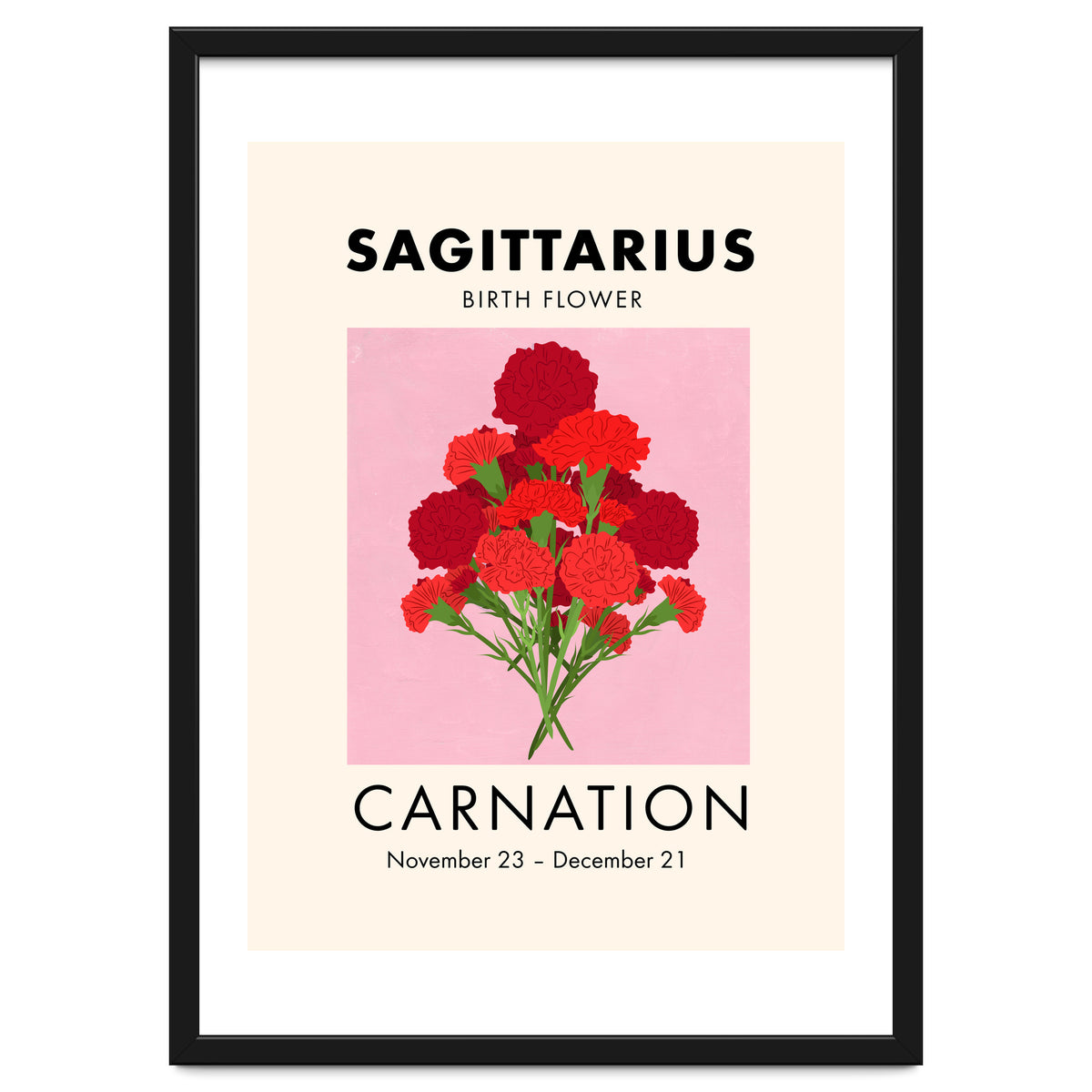 Sagittarius Birth Flower Carnation