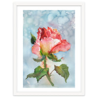 Beautiful Rose Watercolor