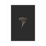 Gold Burst Botanicals (Print Only) thumbnail