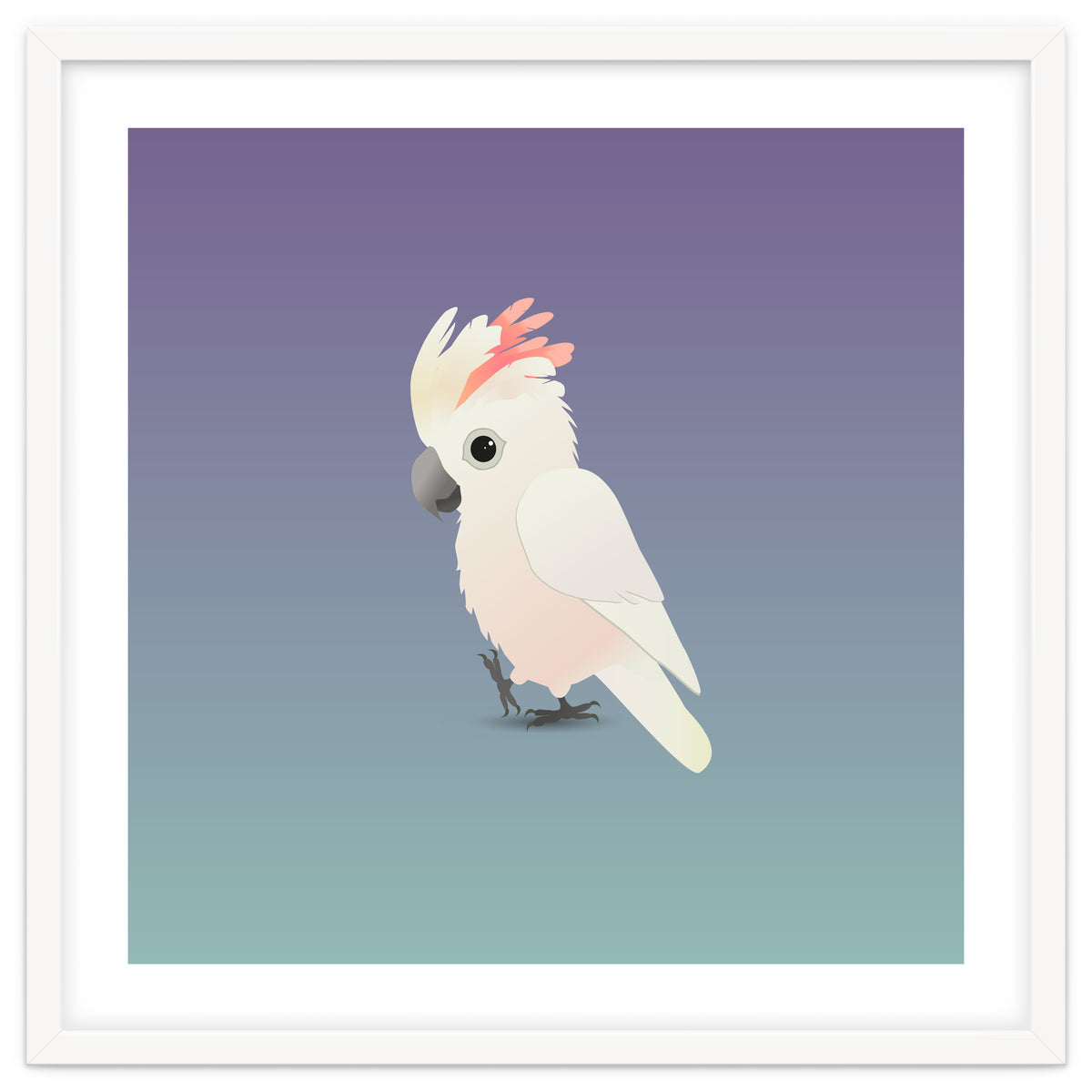 Salmon-crested cockatoo