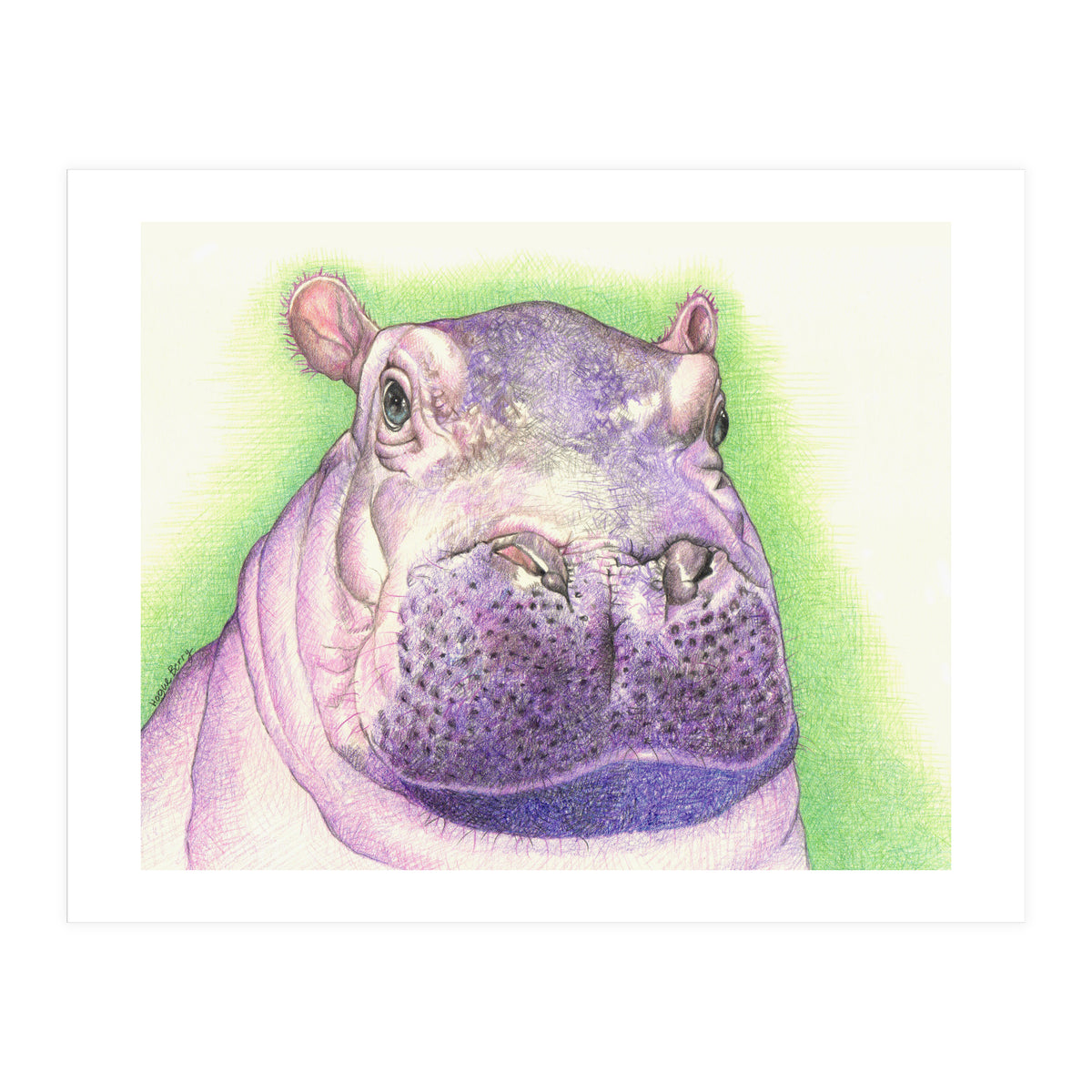 Purple Hippo (Print Only)