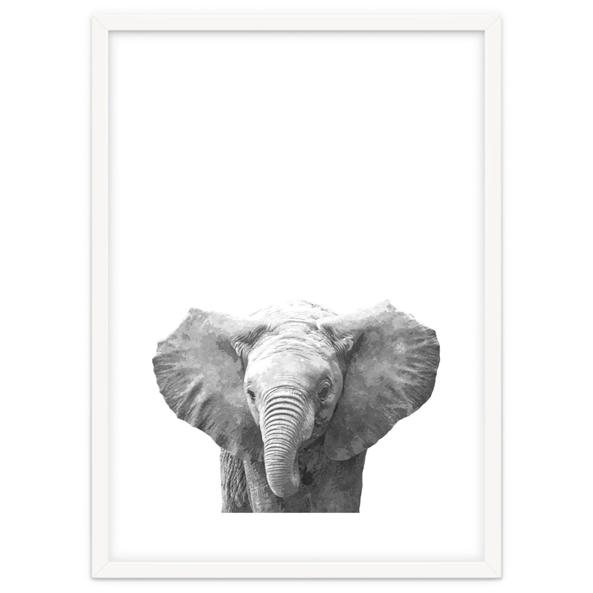 Black and White Baby Elephant