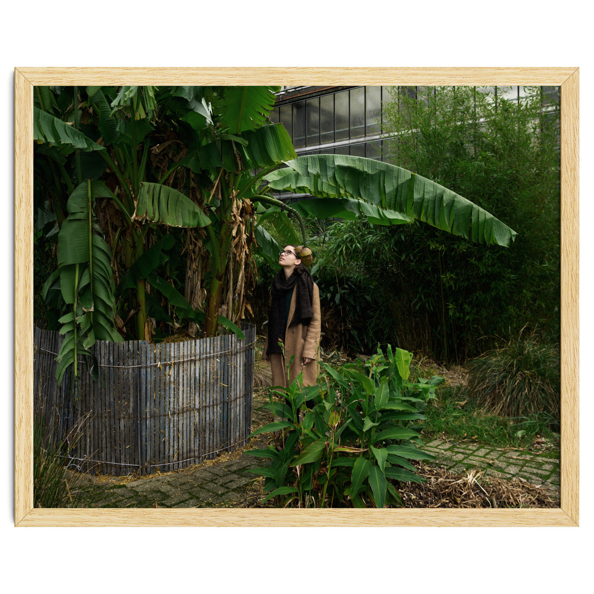 Transition from Summer to Winter