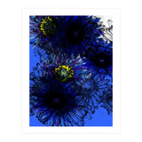 Untitledl 1 (Print Only) thumbnail