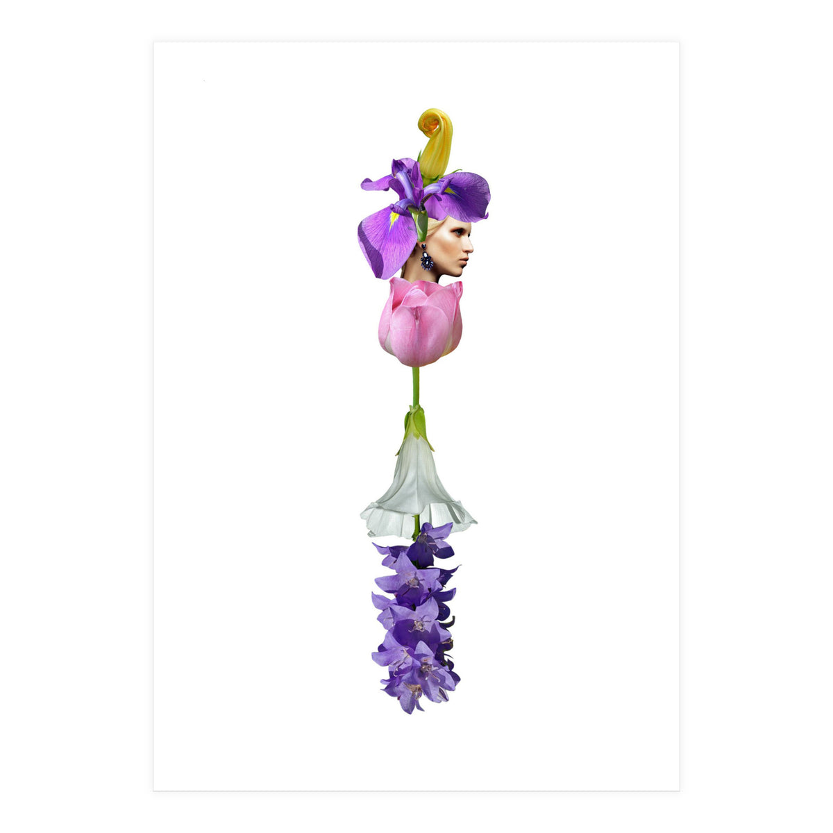 The Flower (Print Only)