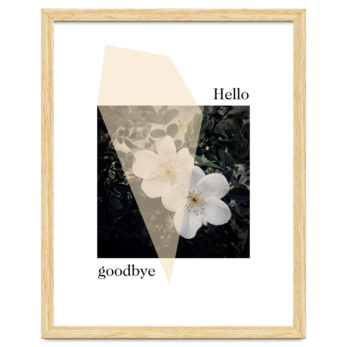 Hello goodbye