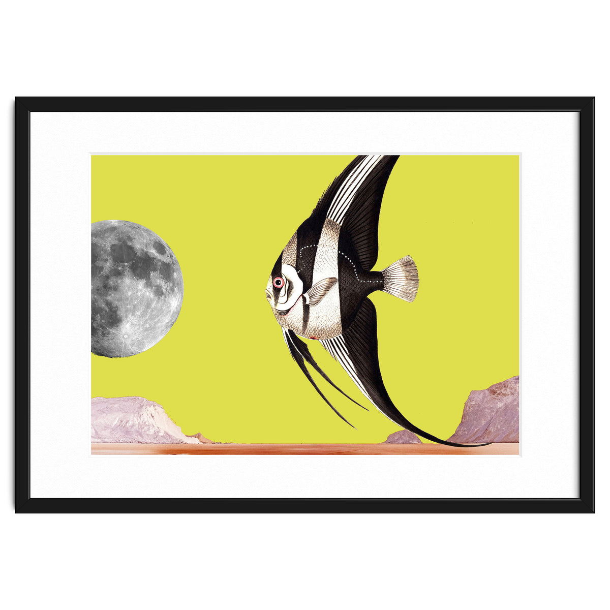 Plenty of fish in the sea yellow