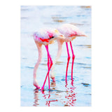 Flamingo Pink (Print Only) thumbnail