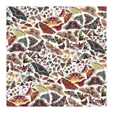 Moths of North America Pattern (Print Only) thumbnail