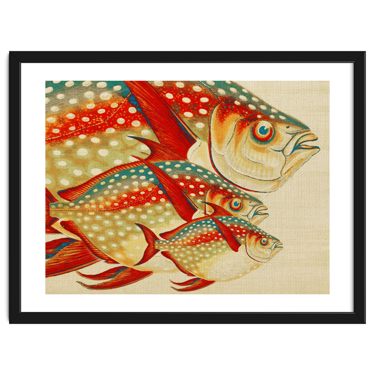 Fish Classic Designs 1
