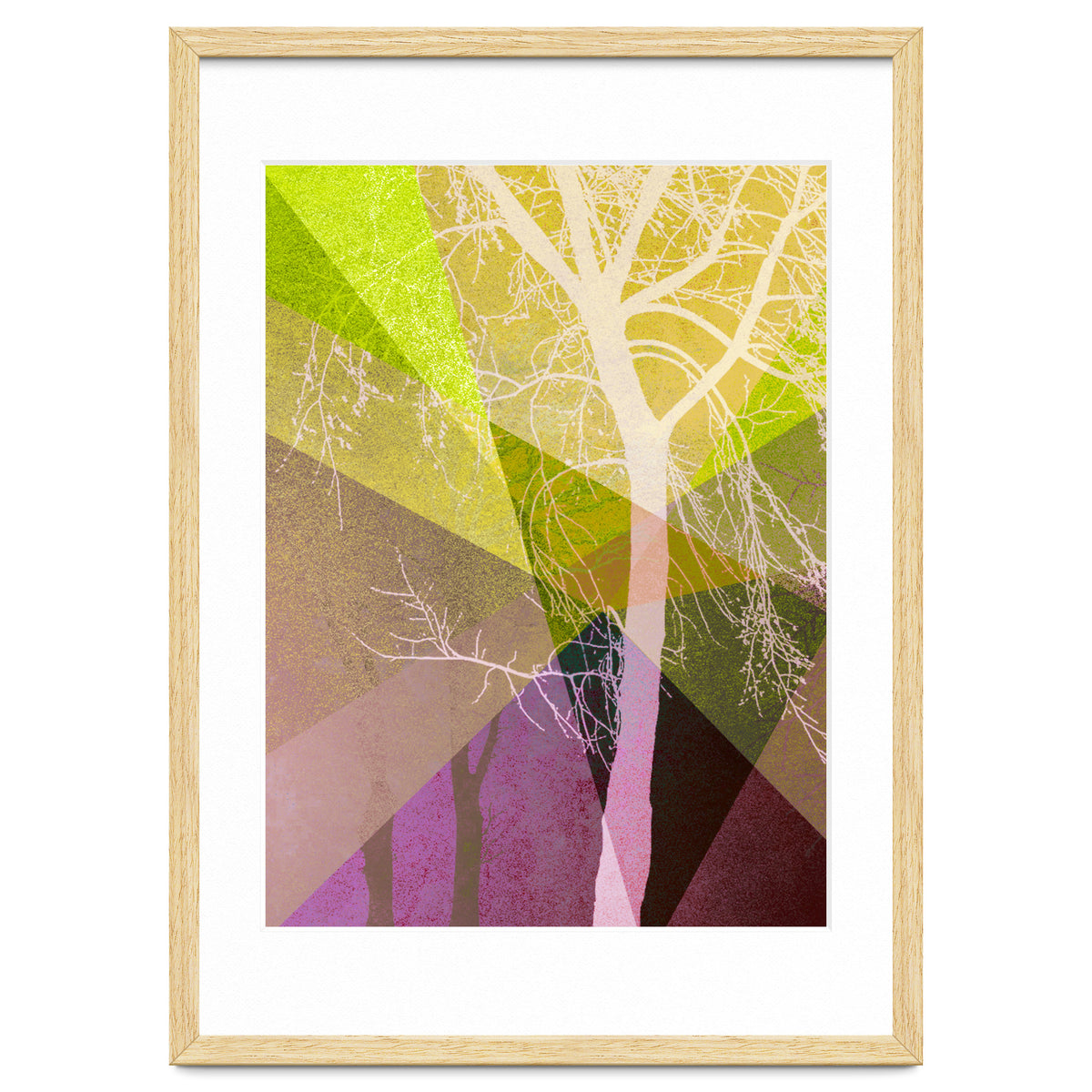 P22 A Trees And Triangles