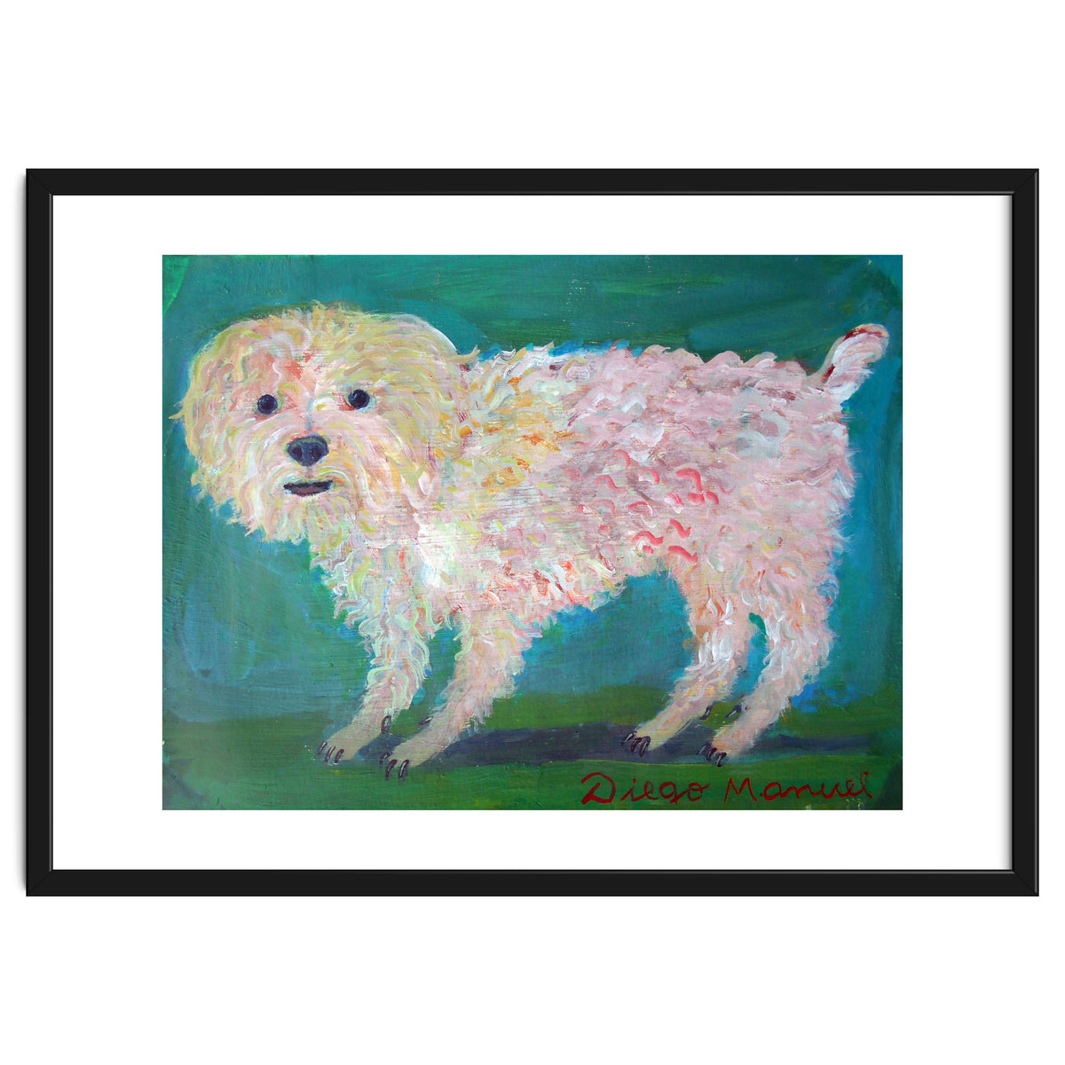 Caniche Blanco De Diego Manuel Rodriguez