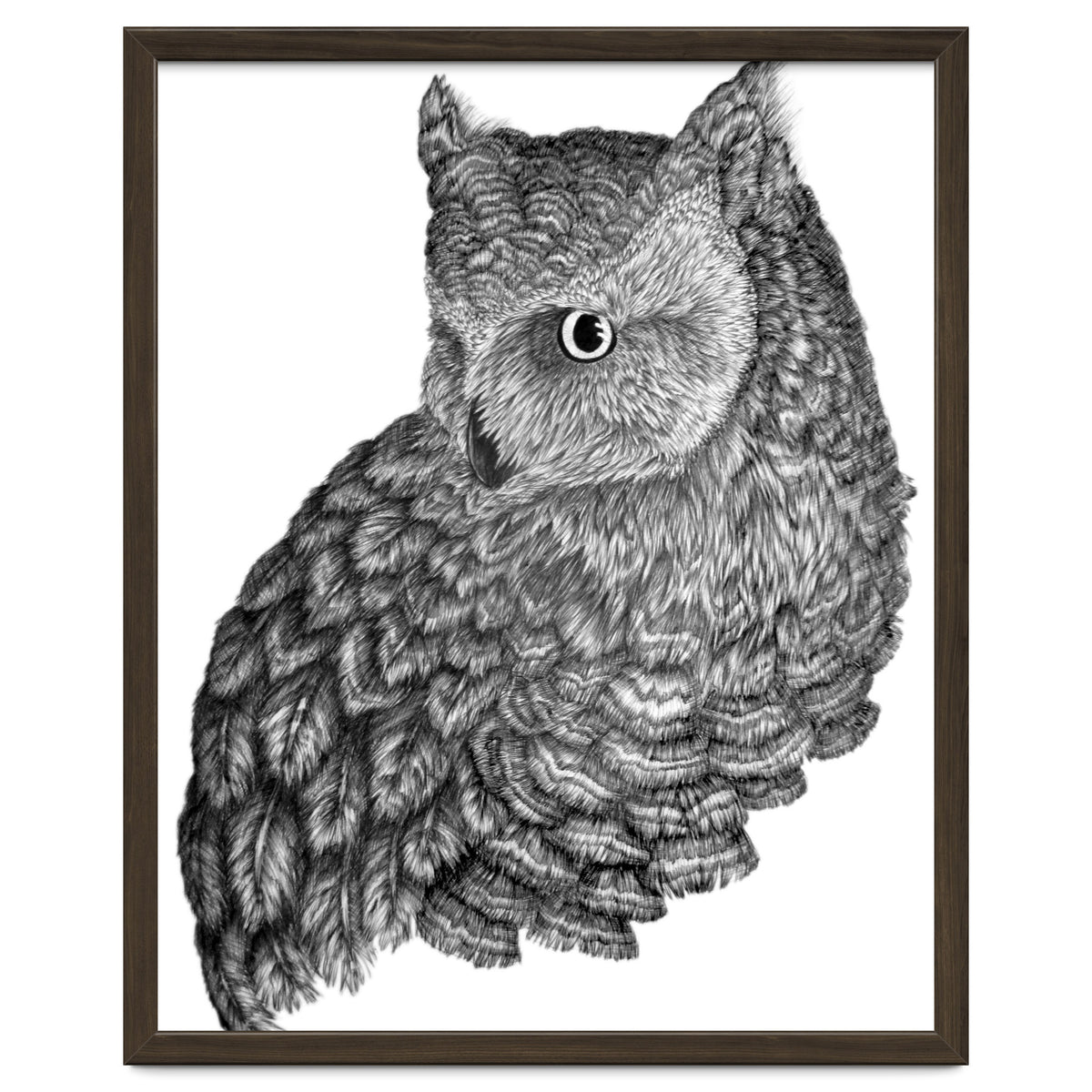 A Friend For Forsythe