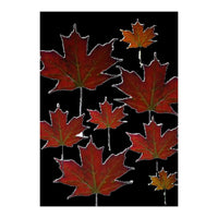 Red Autumn Leaves on Black Ground. (Print Only)