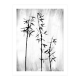 Hosta 3 (Print Only) thumbnail