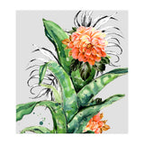 Collage of florid nature  (Print Only) thumbnail