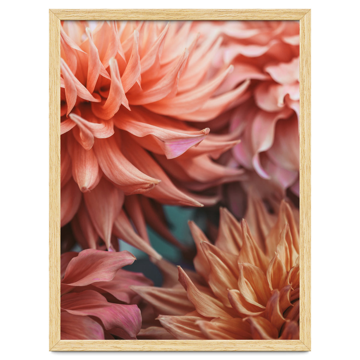 Vintage Dahlia