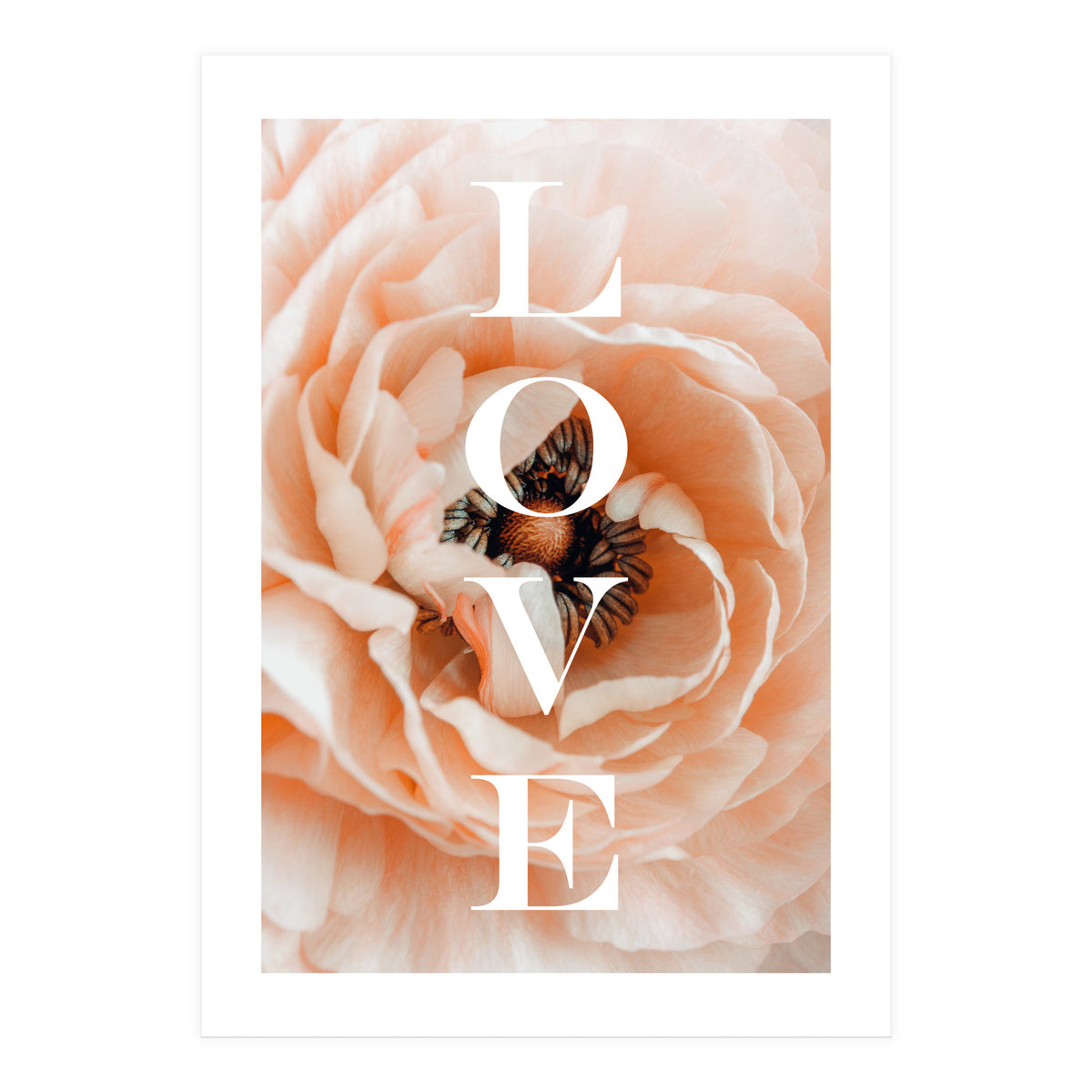 Love (Print Only)