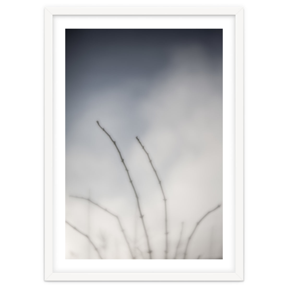 Forgotten Memories of summer #18