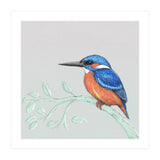 The kingfisher (Print Only) thumbnail