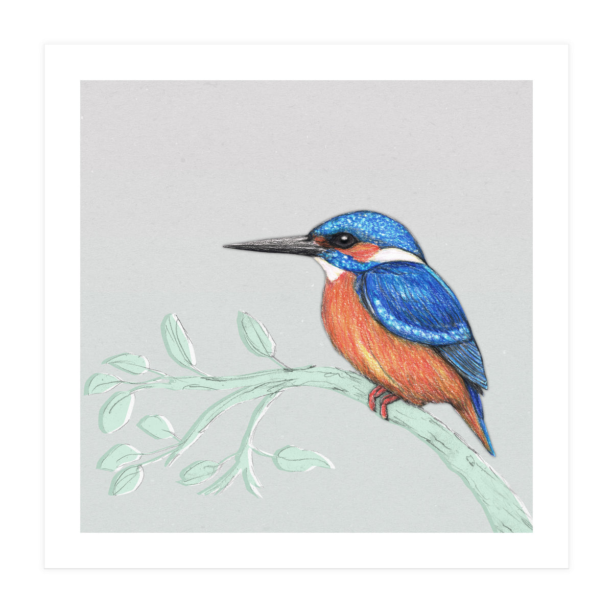 The kingfisher (Print Only)