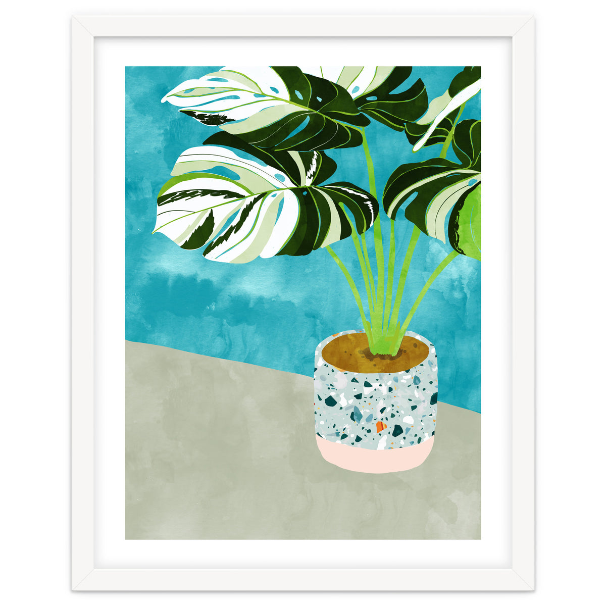 Variegated Monstera