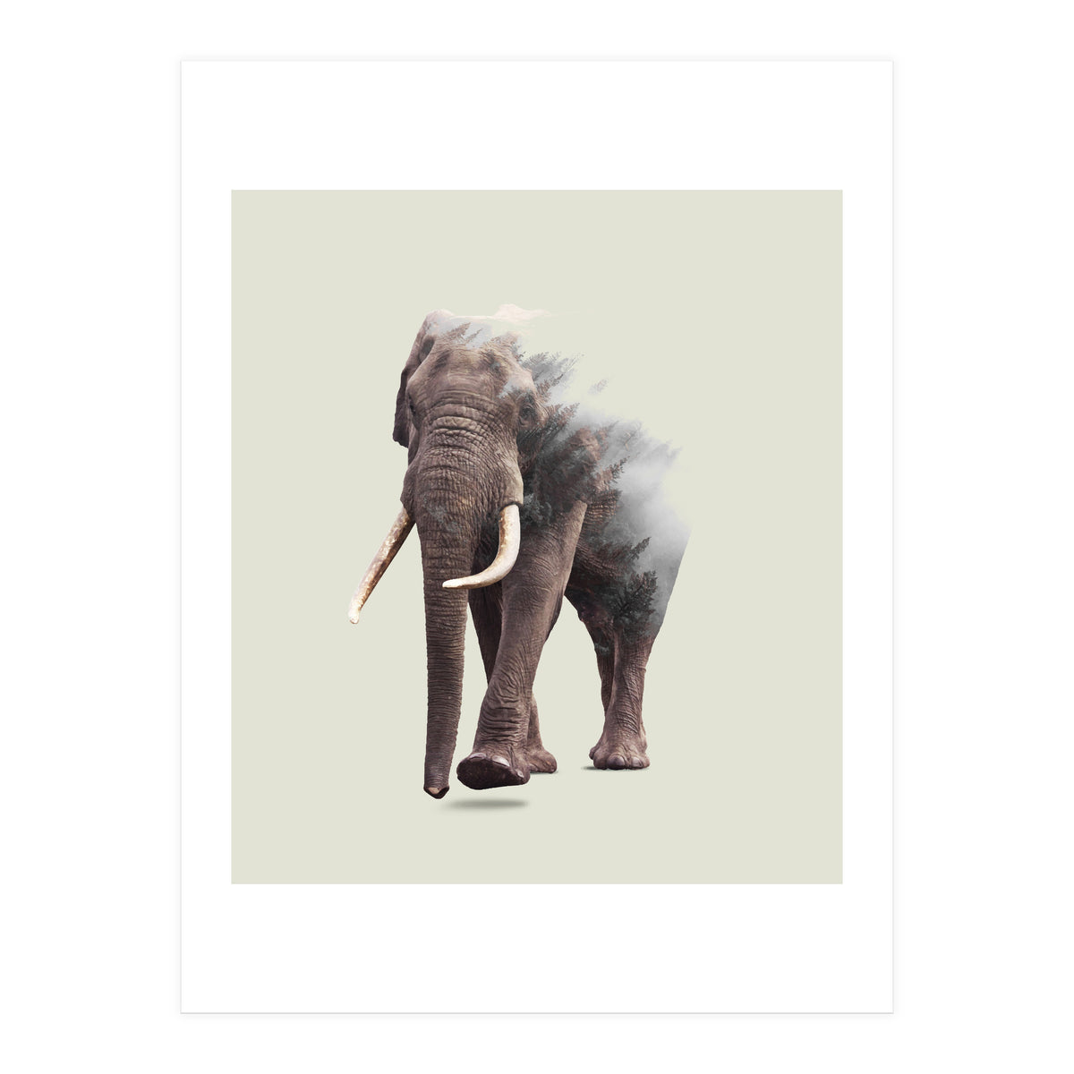 Elephantastic (Print Only)