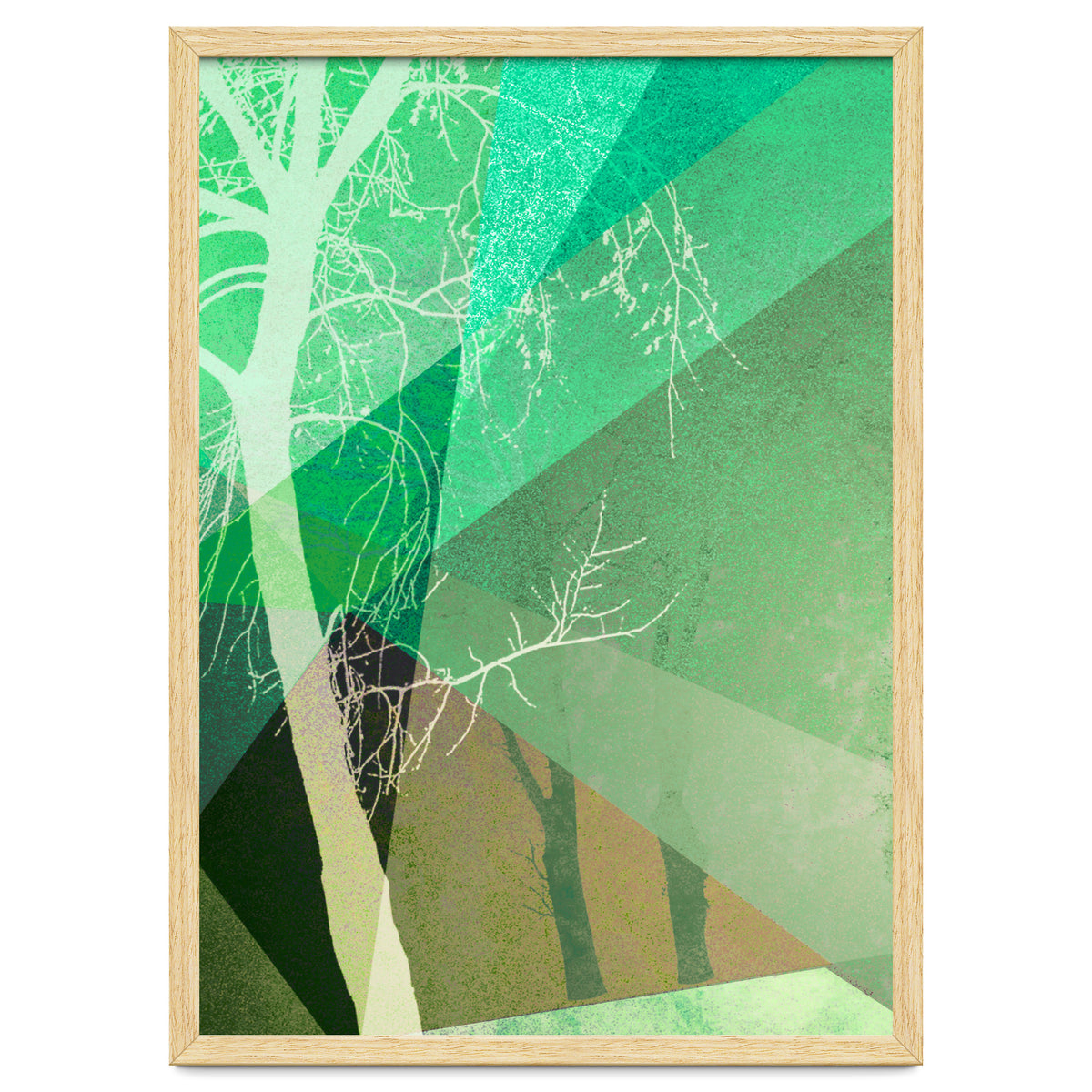 P22-B6 Trees And Triangles