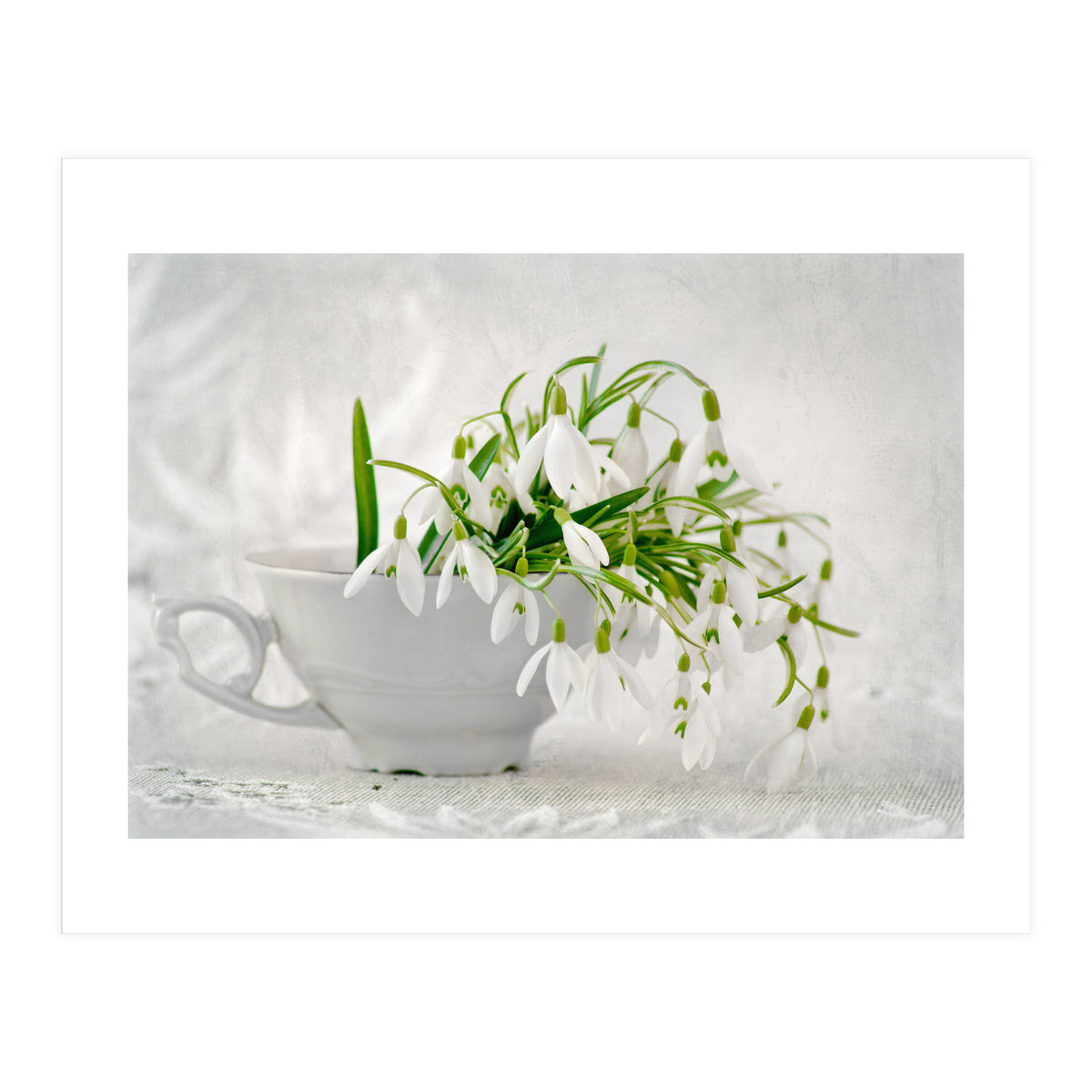 Snowflakes (Print Only)