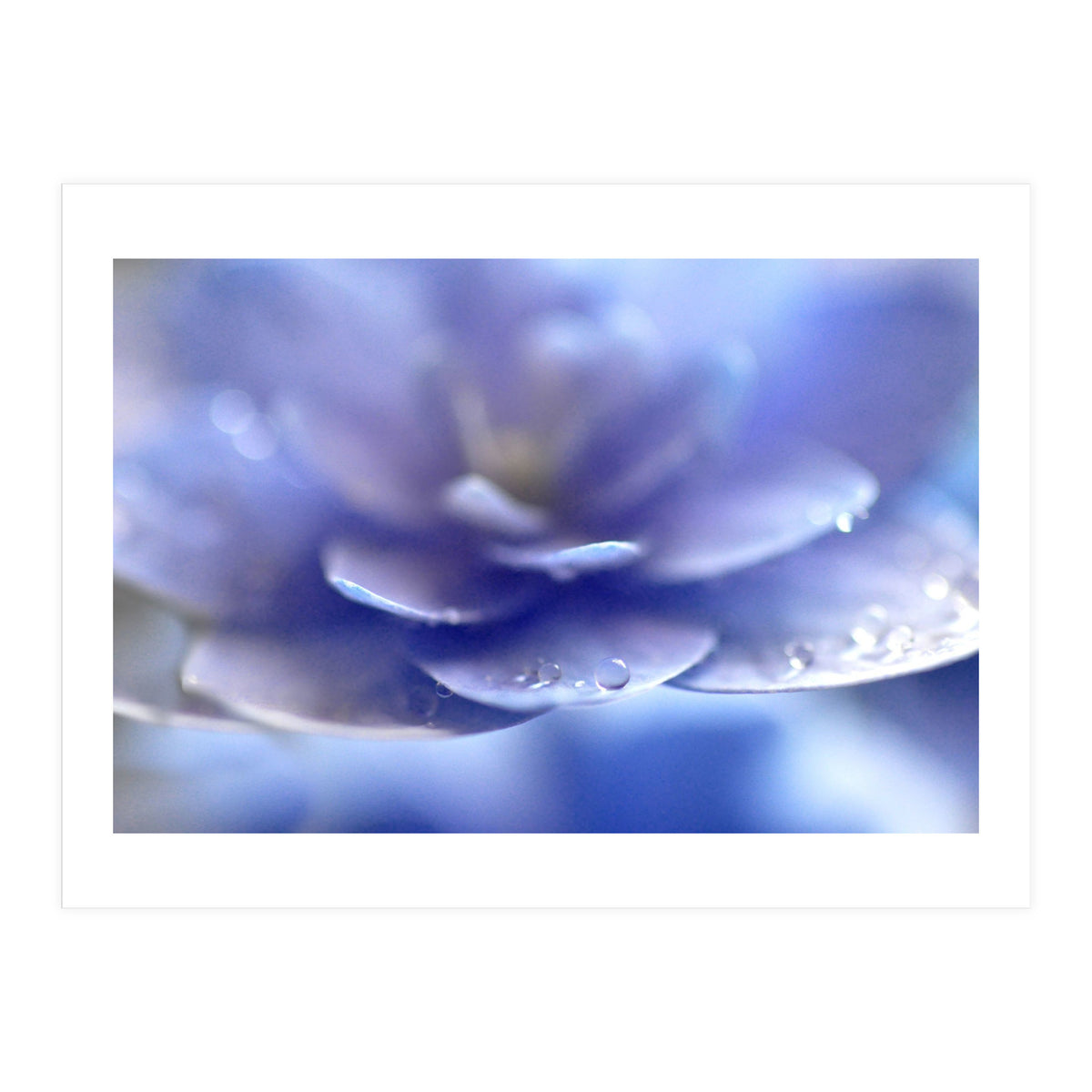 Enchantress (Print Only)