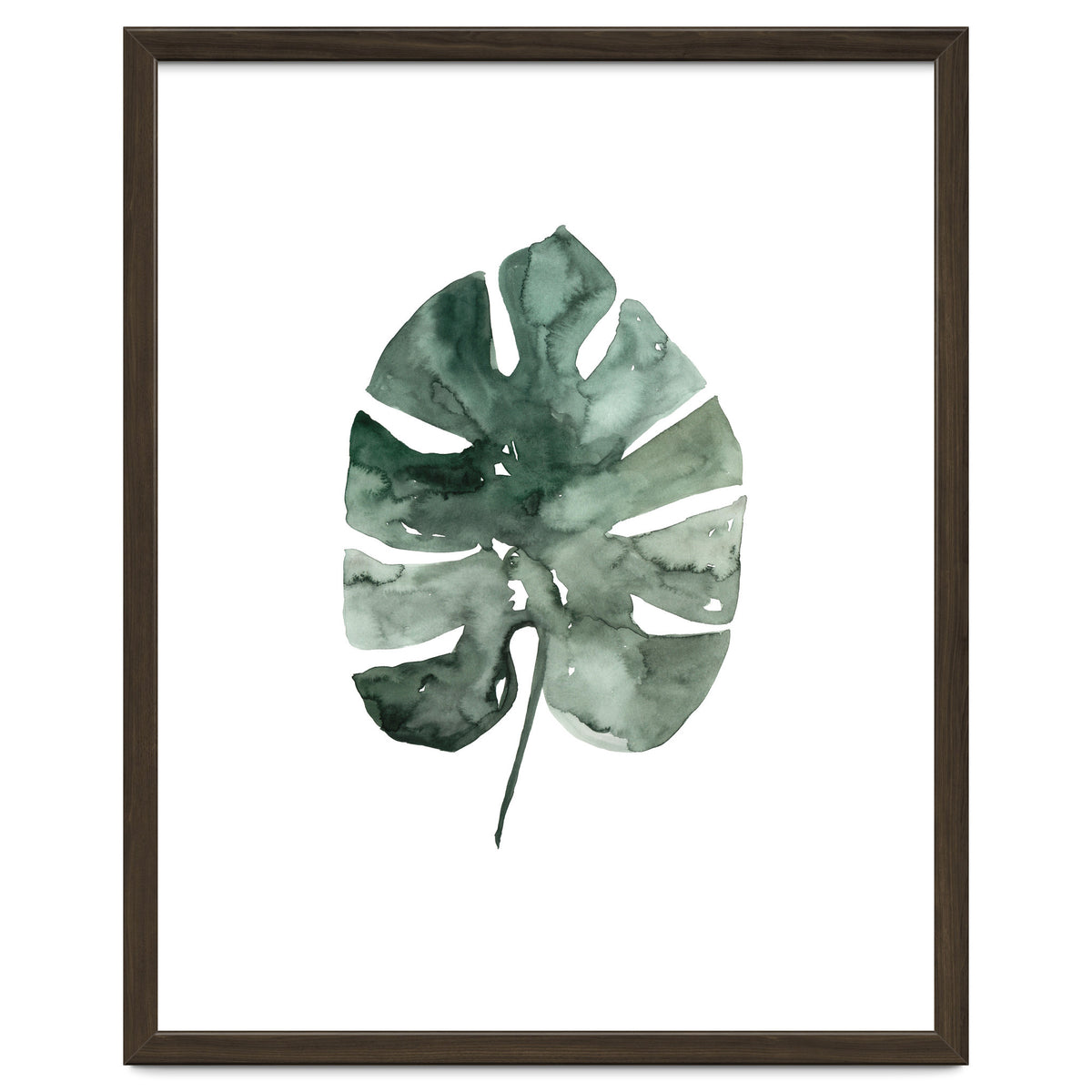 Botanical Illustration Monstera Leaf
