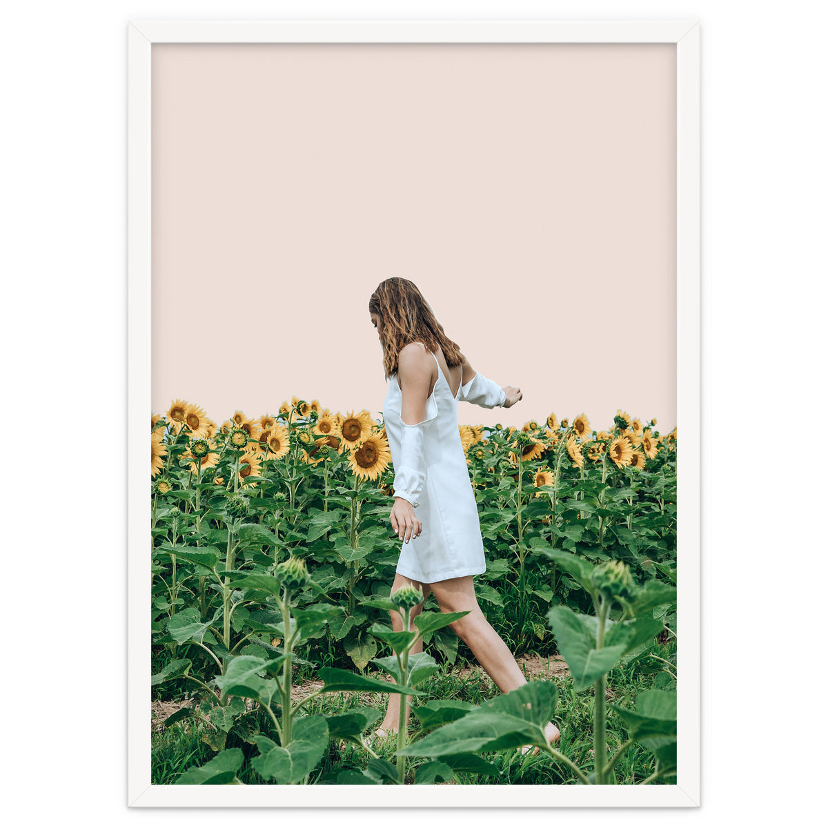 Lost In Sunflowers