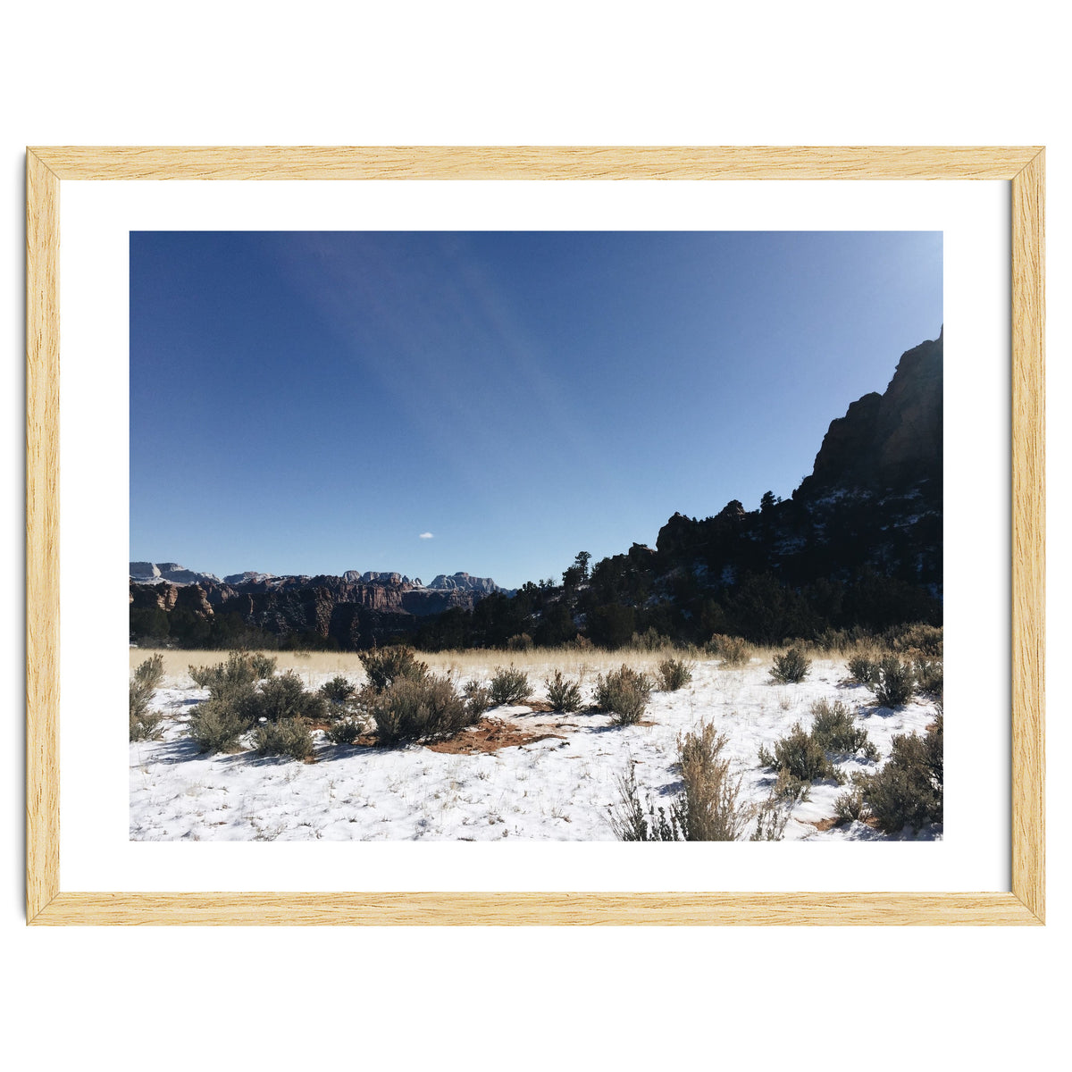 Zion National Park II