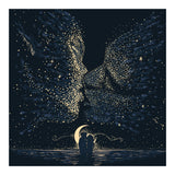 Starcrossed (Print Only) thumbnail