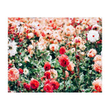 Meadow (Print Only) thumbnail