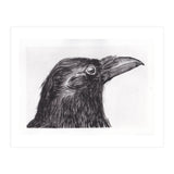 Crow (Print Only) thumbnail