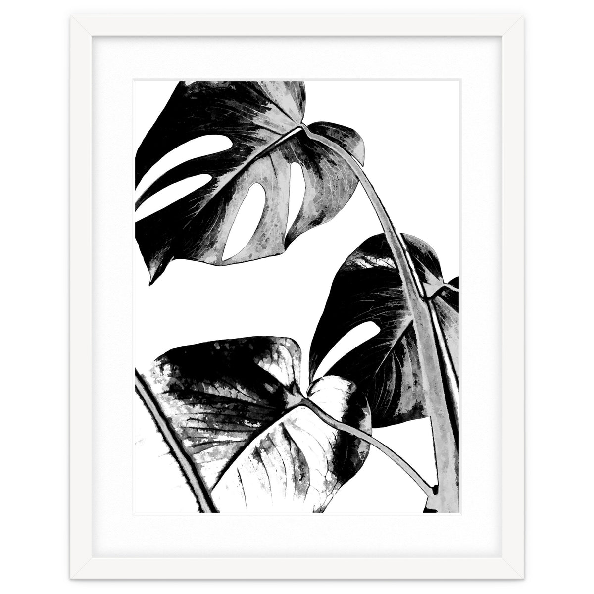 Black Tropical Leaves