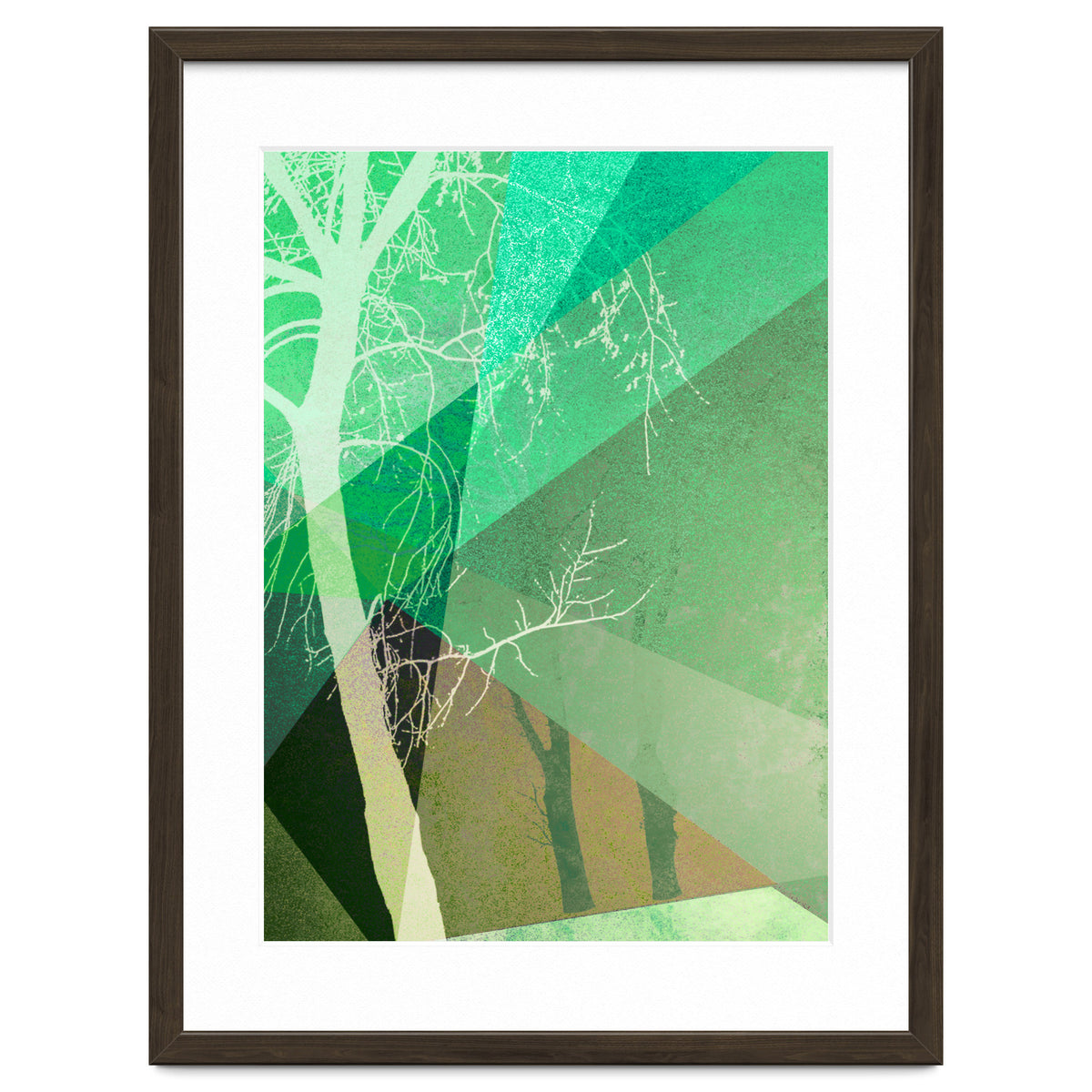 P22-B6 Trees And Triangles